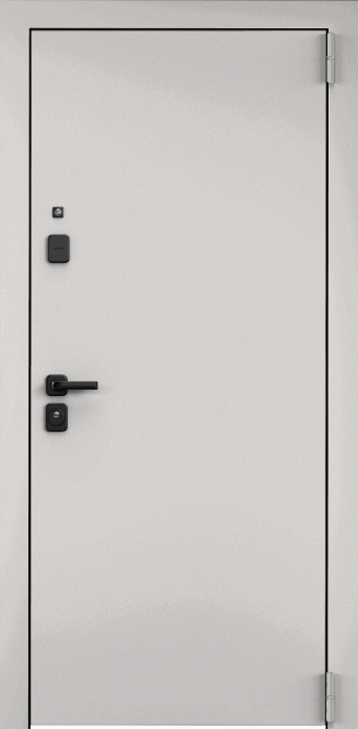 Колоре бьянко в Саранске