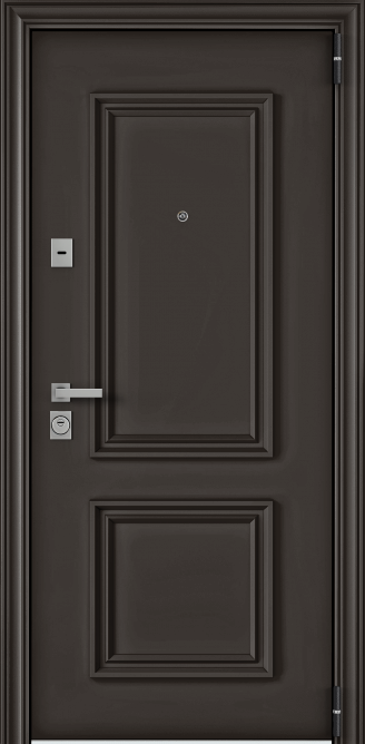 Колоре бруно в Саранске